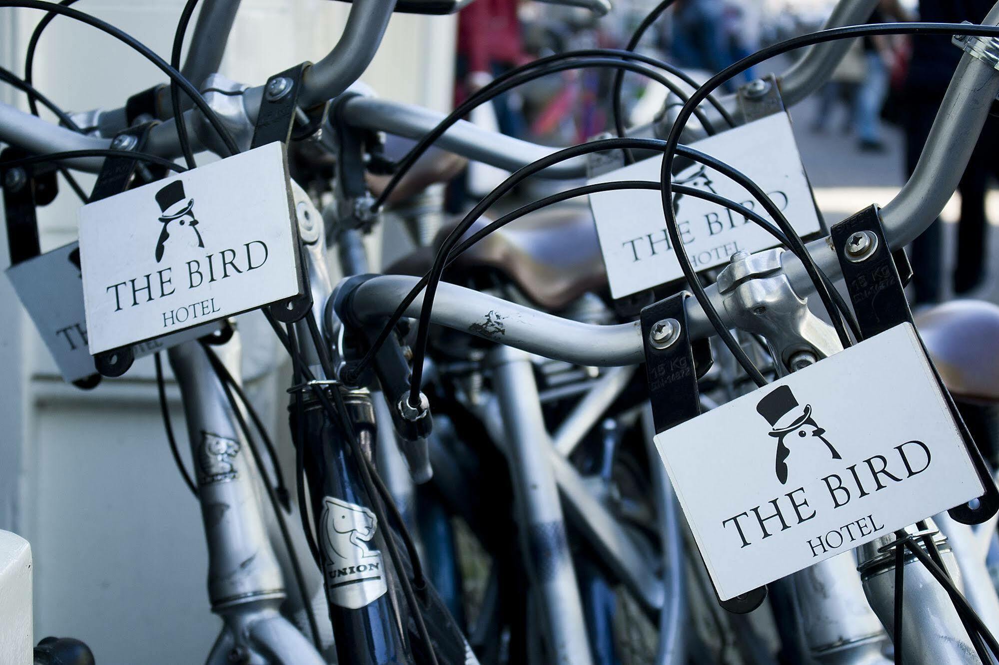 The Bird 3* Ámsterdam